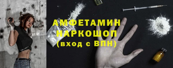 стаф Богданович